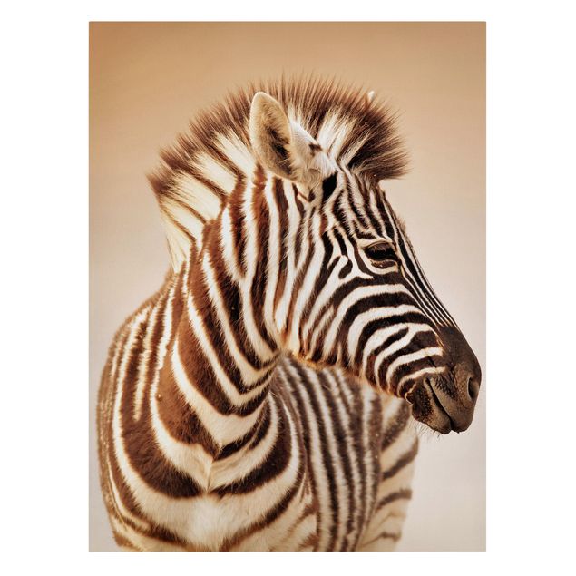 Canvastavlor djur Zebra Baby Portrait