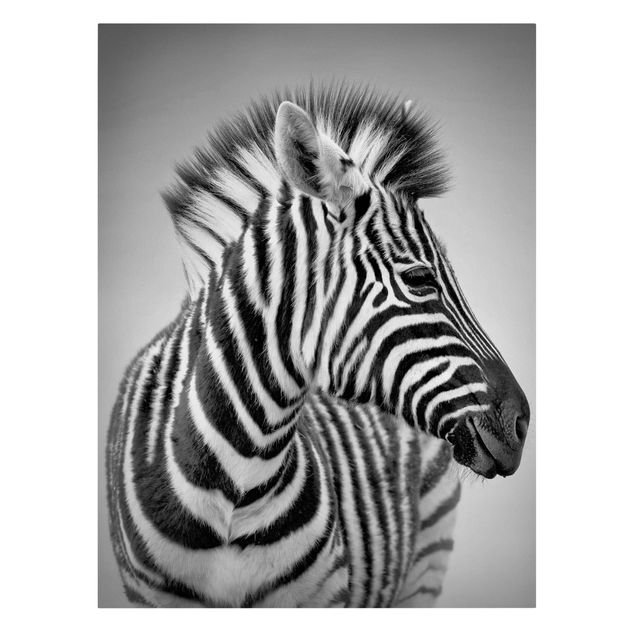 Canvastavlor djur Zebra Baby Portrait II