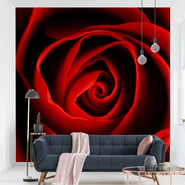Kök dekoration Lovely Rose