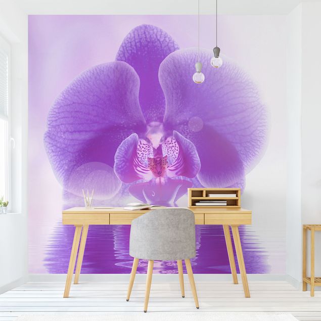 Fototapeter blommor  Purple Orchid On Water