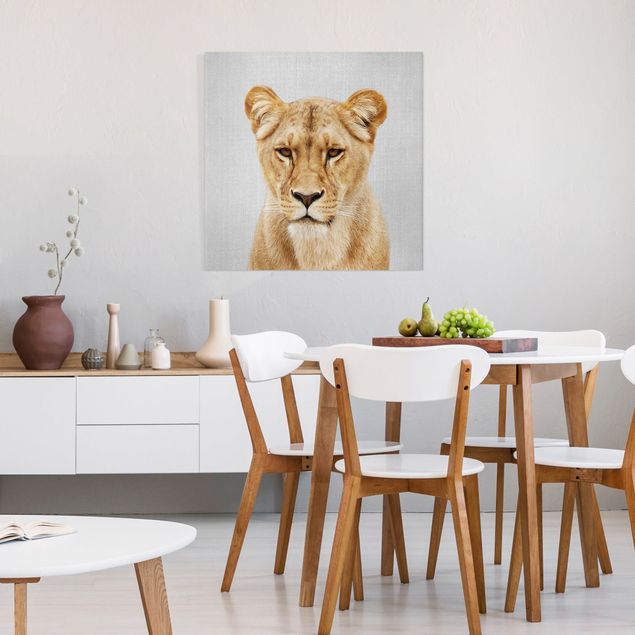 Canvastavlor lejon Lioness Lisa
