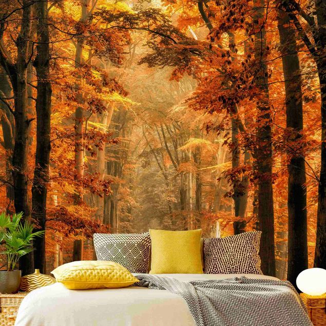 Fototapeter skogar Enchanted Forest In Autumn