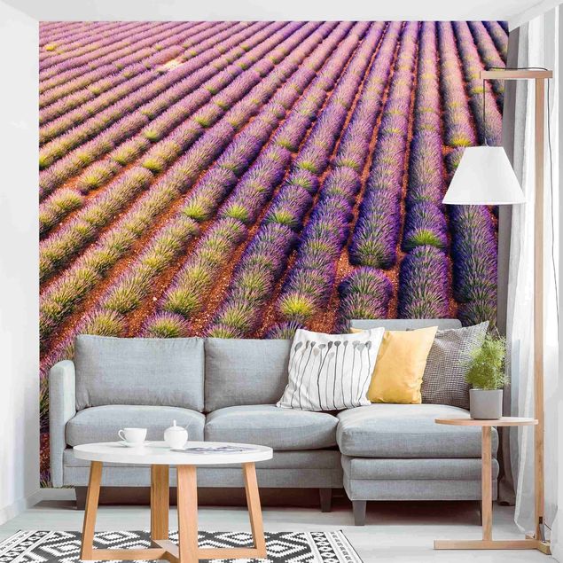 Kök dekoration Picturesque Lavender Field