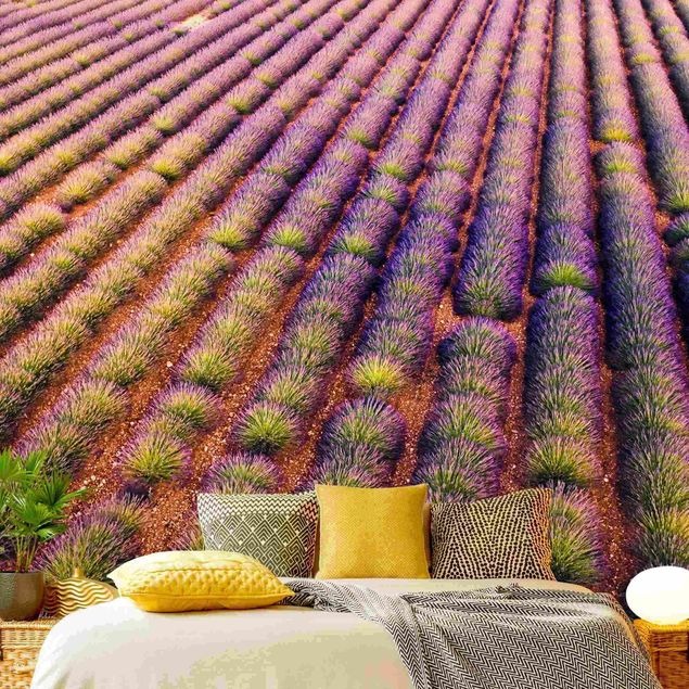 Tapeter modernt Picturesque Lavender Field