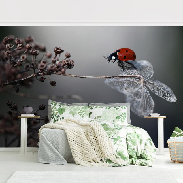 Tapeter modernt Ladybird On Hydrangea
