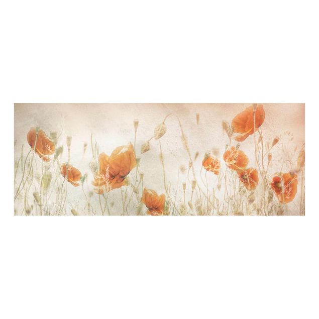 Tavlor blommor Poppy Flowers And Grasses In A Field