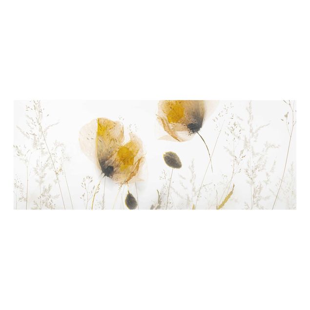 Tavlor blommor Poppy Flowers And Delicate Grasses In Soft Fog