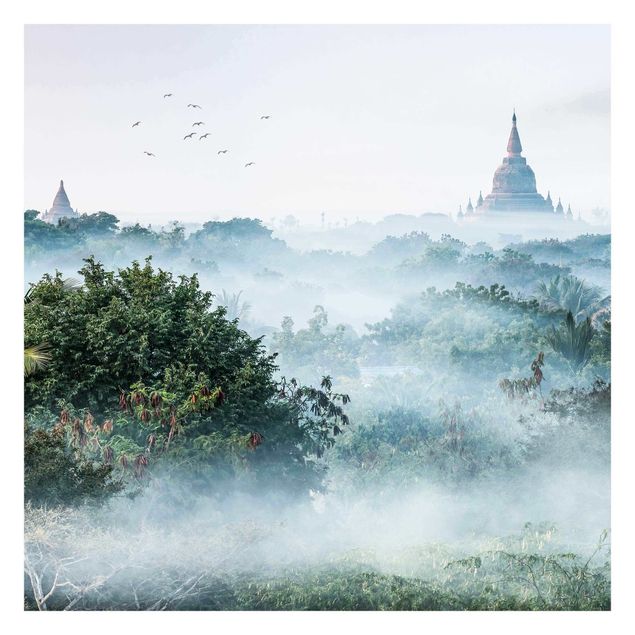 Tapeter Morning Fog Over The Jungle Of Bagan