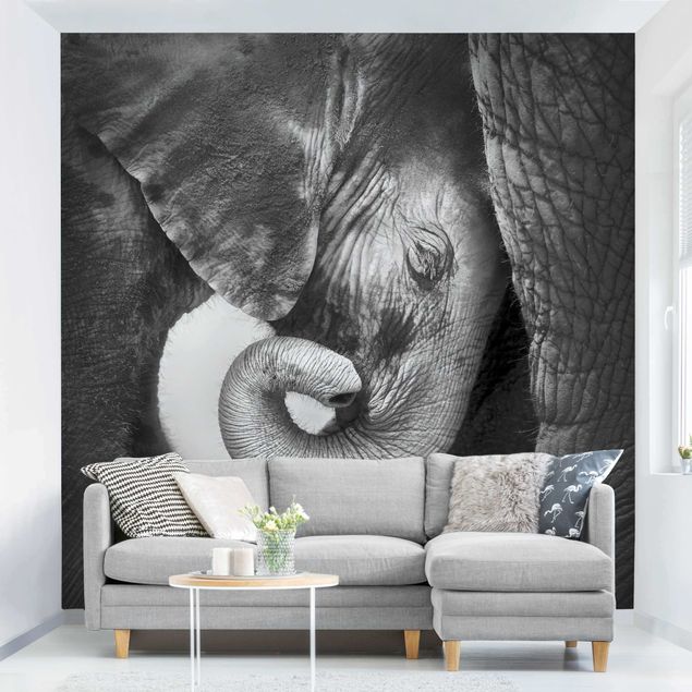 Fototapeter elefanter Mother's Love