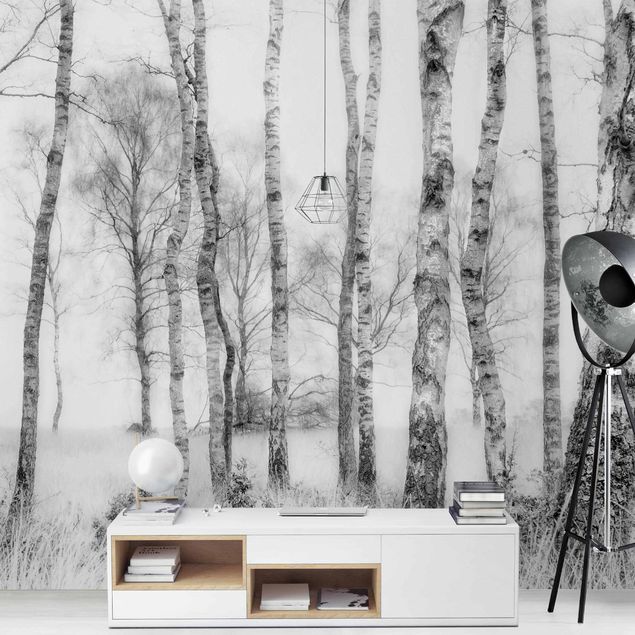Fototapeter landskap Mystic Birch Forest Black And White