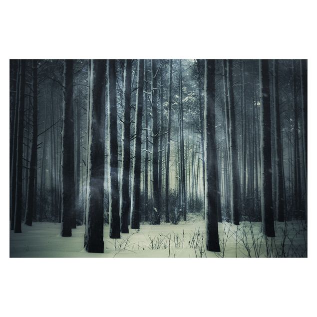 Tapeter Mystical Winter Forest