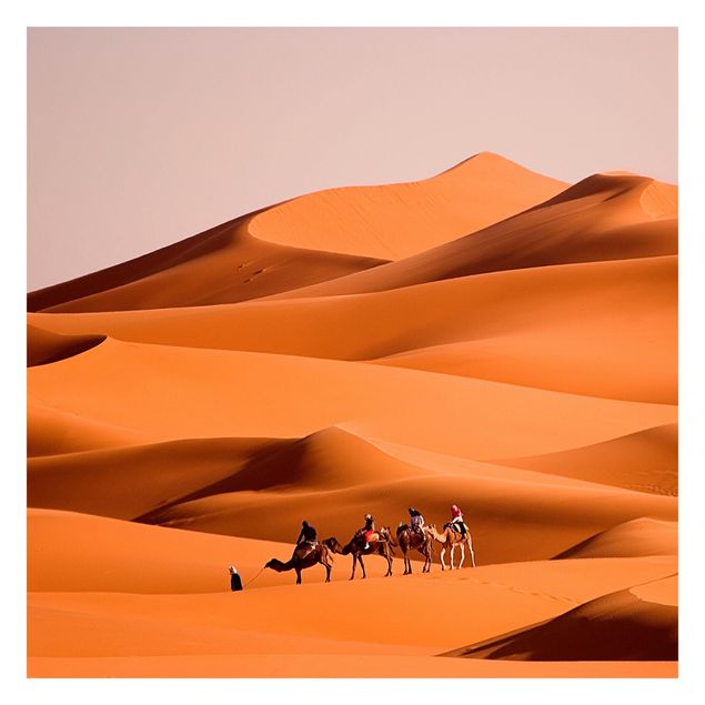 Fototapeter orange Namib Desert