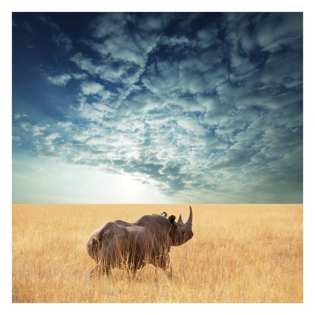 Fototapeter landskap Rhino In The Savannah