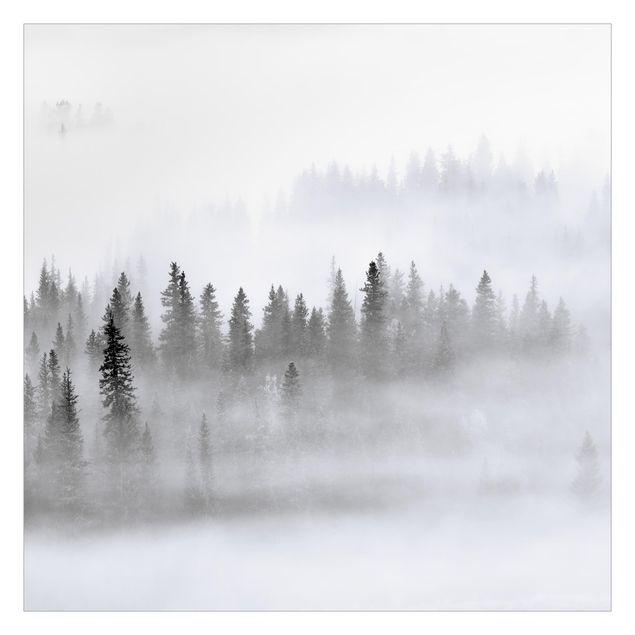 Fototapet - Fog In The Fir Forest Black And White