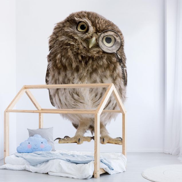 Inredning av barnrum Curious Owl
