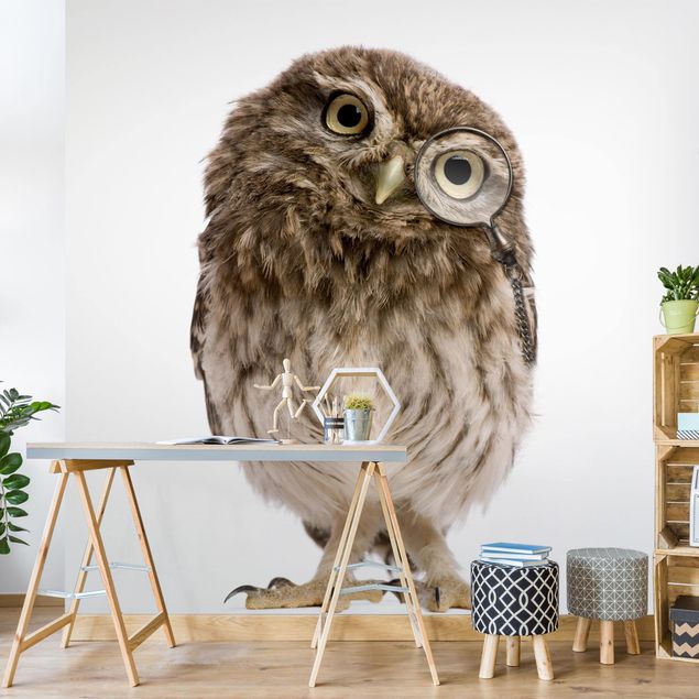 Tapeter modernt Curious Owl