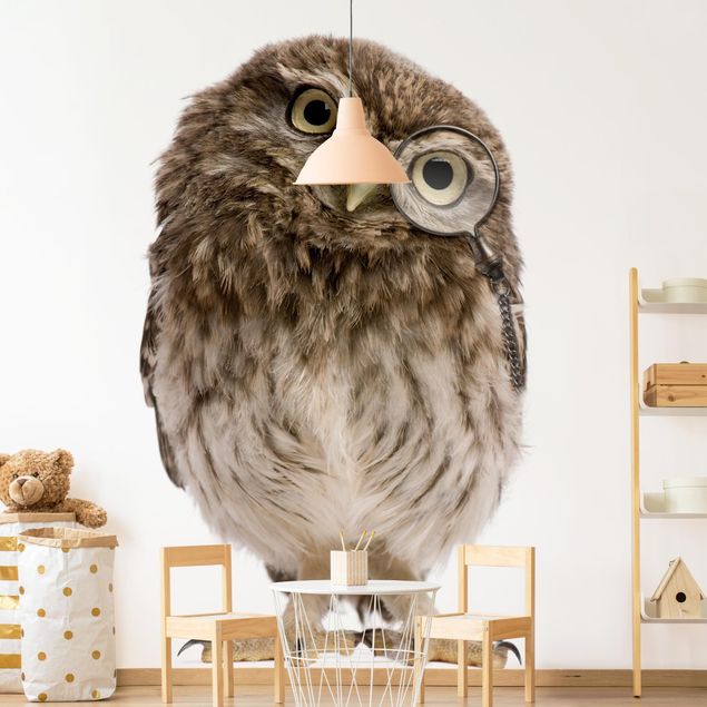 Fototapeter djur Curious Owl
