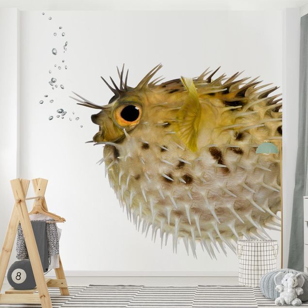Kök dekoration No.602 Pufferfish
