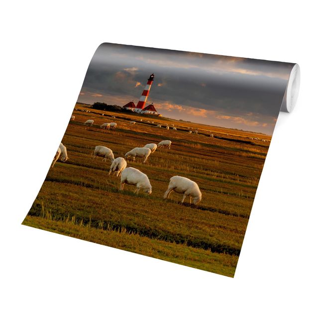 Fototapeter landskap North Sea Lighthouse With Flock Of Sheep