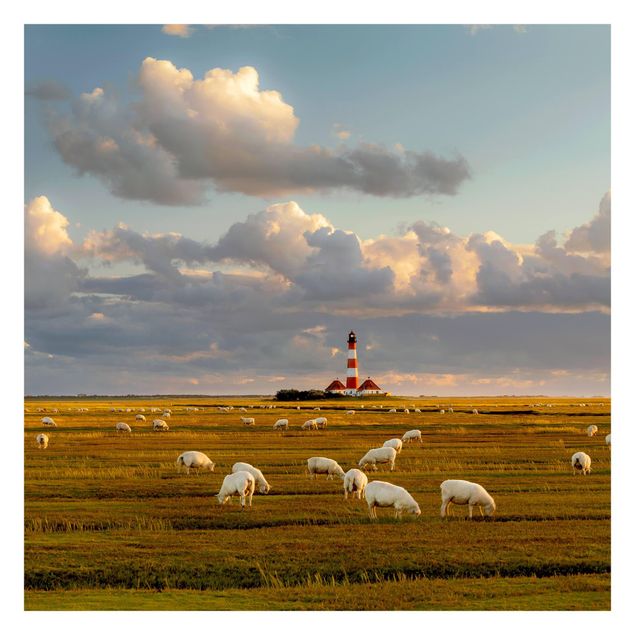 Fototapeter stränder North Sea Lighthouse With Flock Of Sheep