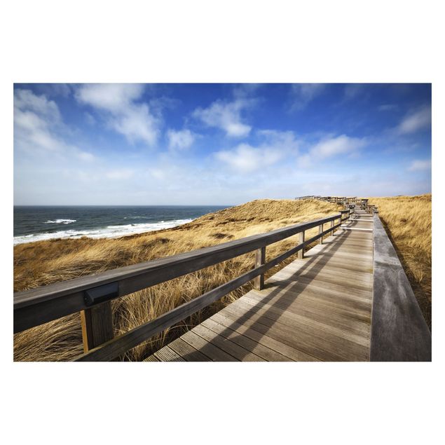 Fototapeter landskap Stroll At The North Sea
