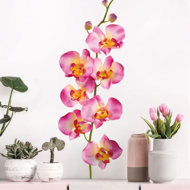 Wallstickers orkidéer No.177 Orchid Rose II