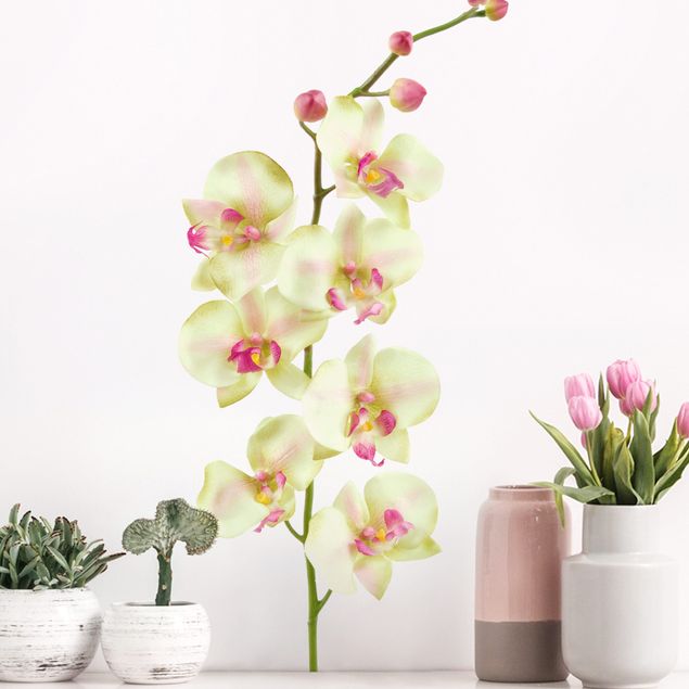 Autocolantes de parede orquídeas No.190 Orchid White II