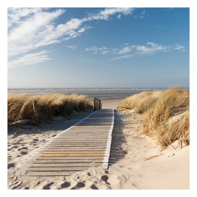 Fototapeter landskap Baltic Sea Beach