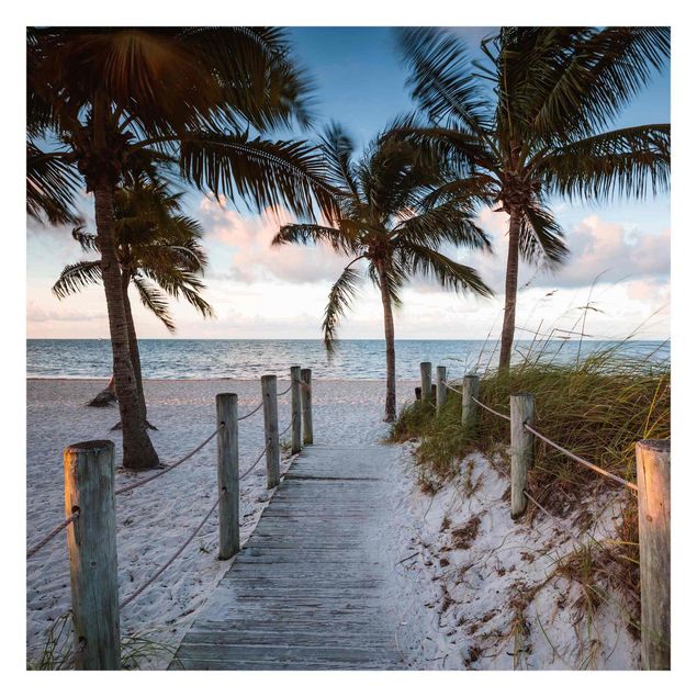 Fototapeter blå Palm Trees At Boardwalk To The Ocean