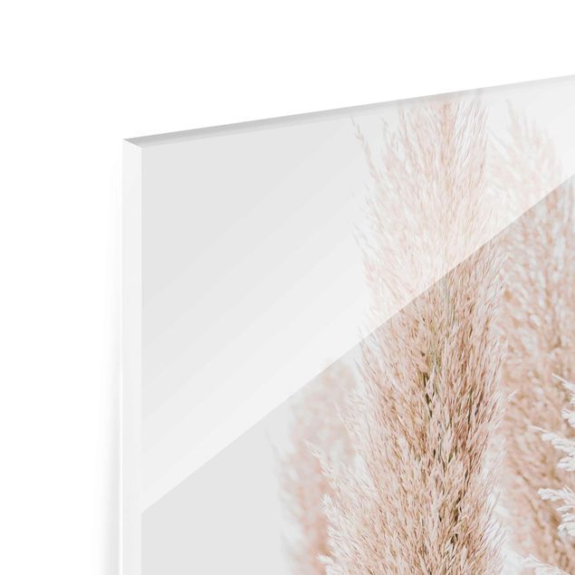 Glas Magnetboard Pampas Grass In White Light