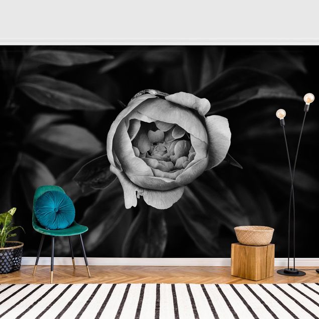 Fototapeter rosor Peonies In Front Of Leaves Black And White