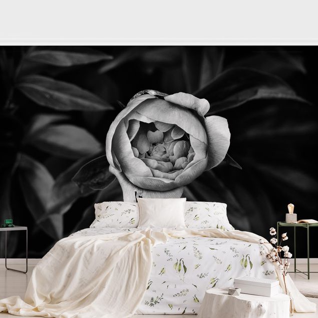Fototapeter blommor  Peonies In Front Of Leaves Black And White