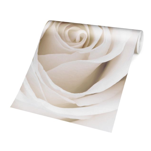 Tapeter modernt Pretty White Rose
