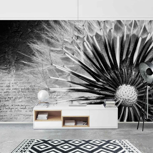 Tapeter modernt Dandelion Black & White