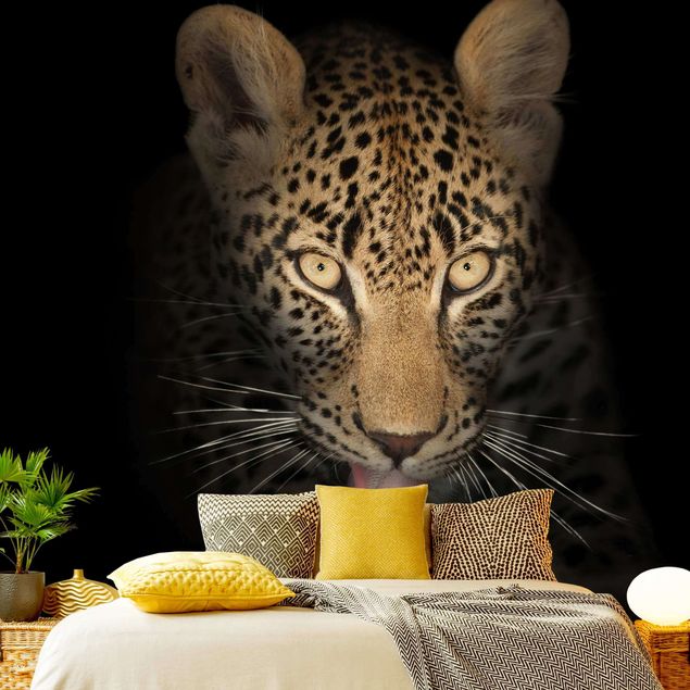 Tapeter modernt Resting Leopard