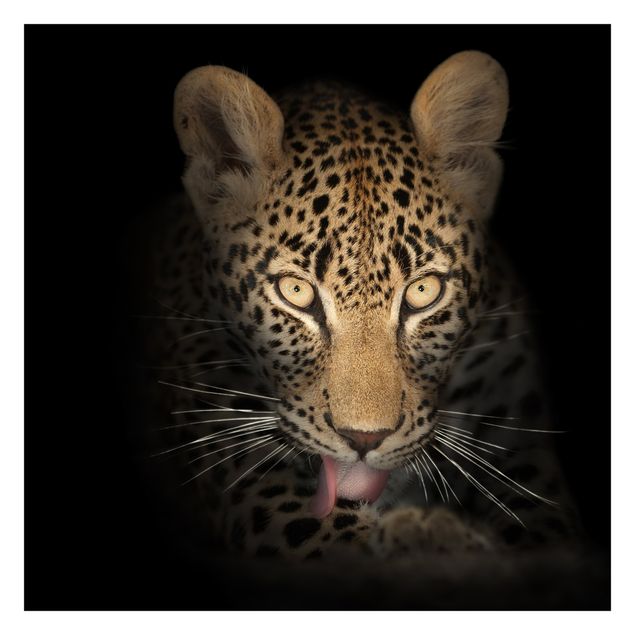 Fototapeter Gul Resting Leopard