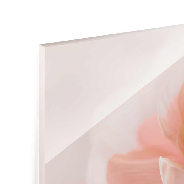 Tavlor Monika Strigel Focus On Light Pink Flower