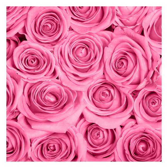 Tapeter Pink Roses