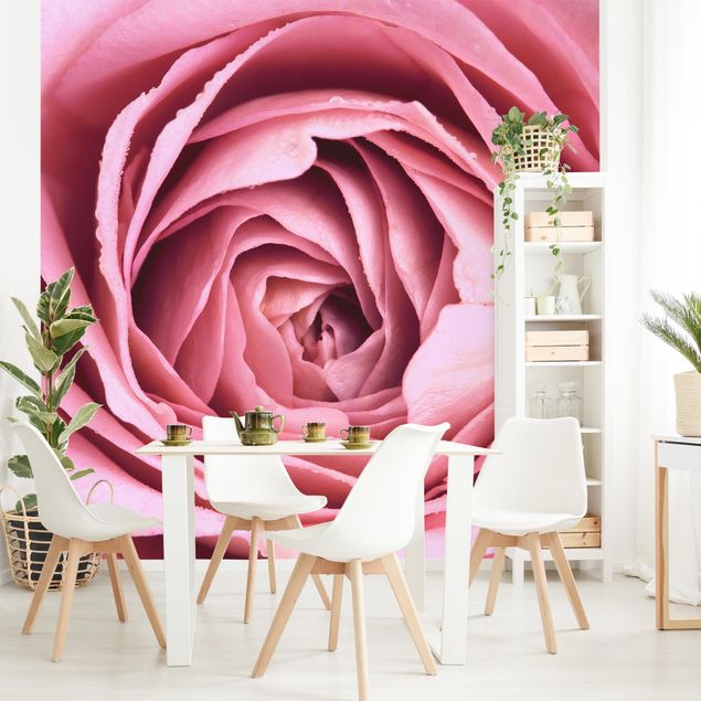 Tapeter lantlig Pink Rose Blossom