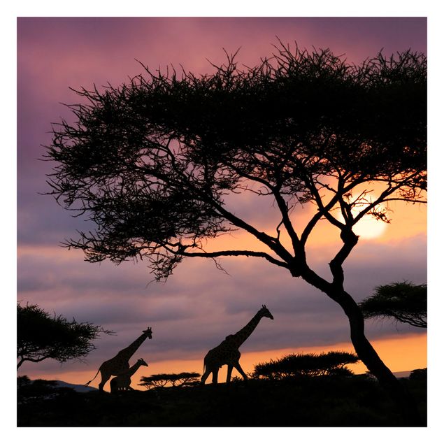 Tapeter modernt African Safari