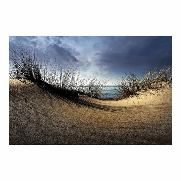Fototapeter landskap Sand Dune