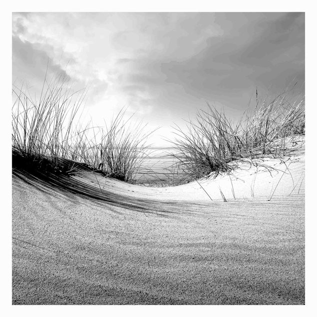 Fototapeter landskap Sand Dune Black And White
