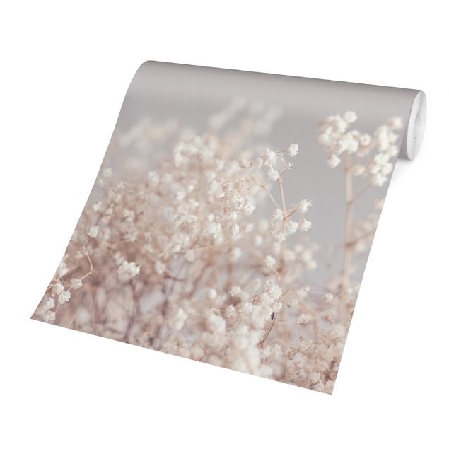 Fototapeter beige Soft Flowers