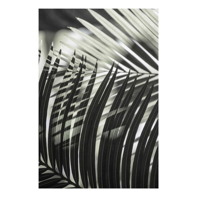 Tavlor blommor  Interplay Of Shaddow And Light On Palm Fronds