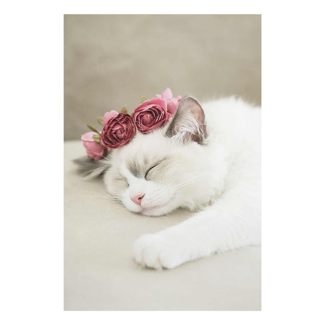 Tavlor blommor Sleeping Cat with Roses