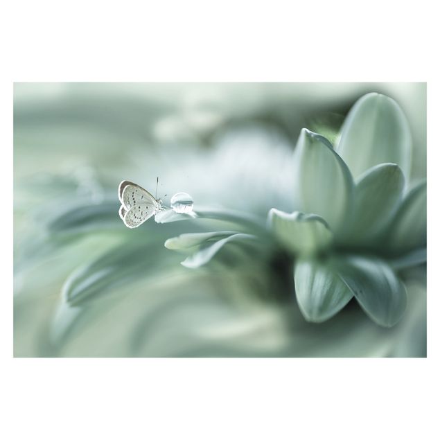 Tapeter Butterfly And Dew Drops In Pastel Green