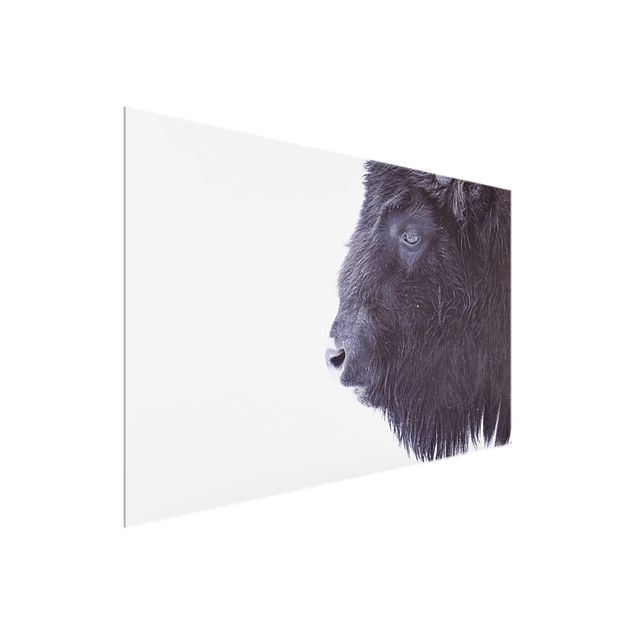 Tavlor modernt Portrait Of A Black Buffalo