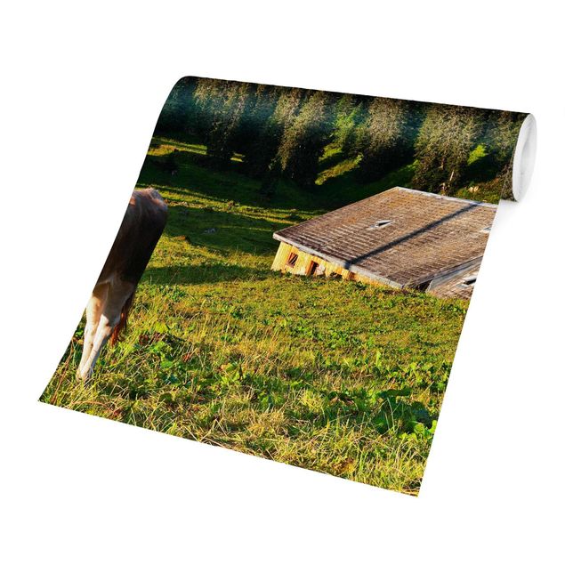 Fototapeter skogar Swiss Alpine Meadow With Cow