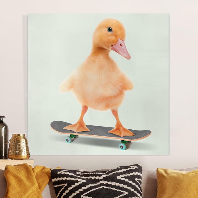 Canvastavlor fåglar Skate Duck