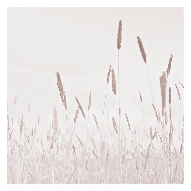 Tavlor Monika Strigel Summerly Reed Grass